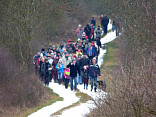 Novoroční pochod 2016 1.1.2016