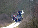 Novoroční pochod 2016 1.1.2016