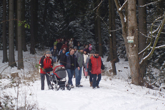 Novoroční pochod 2015